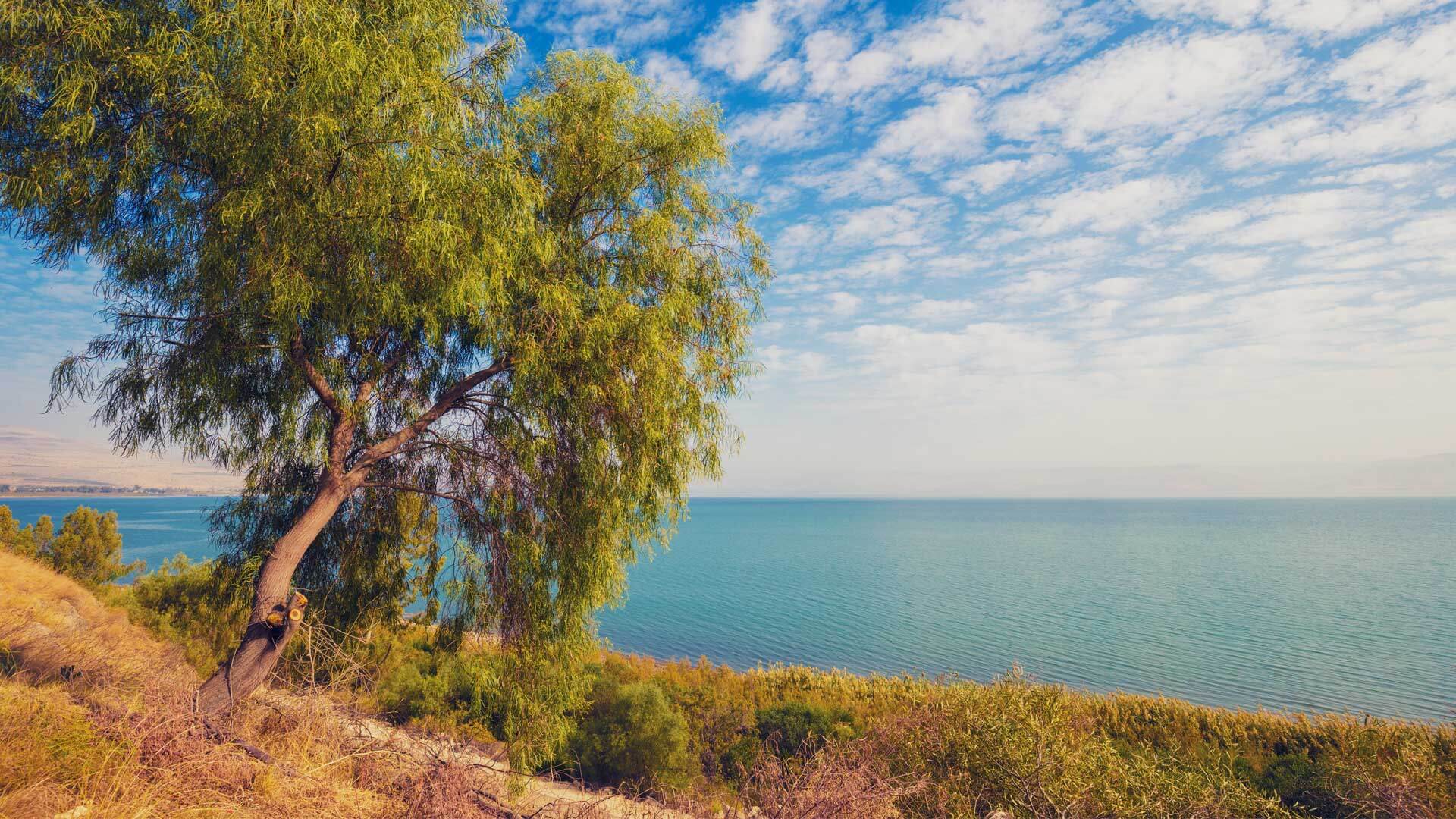 טיילת מצוקי האון